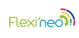 Logo Flexineo